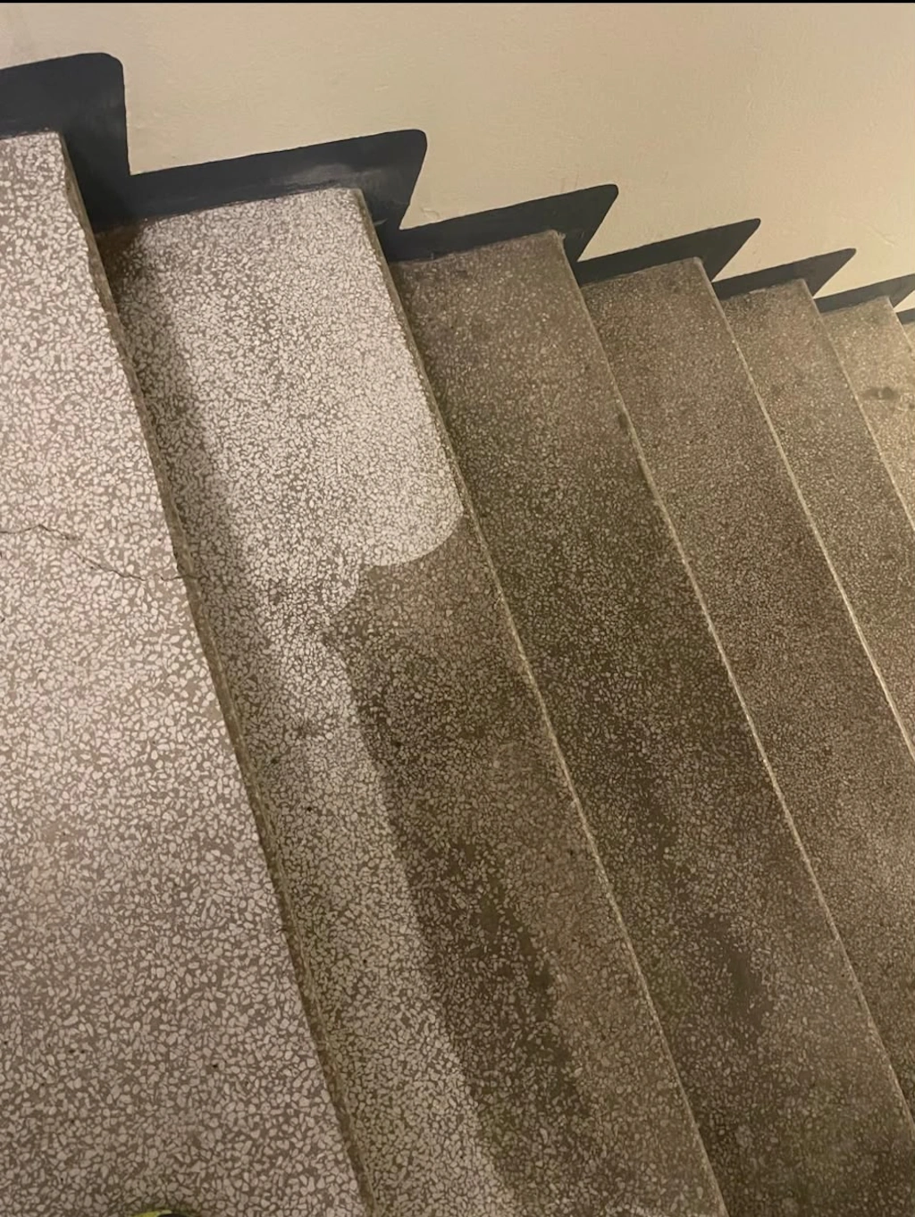 Portaat ennen siivousta ja käsittelyä